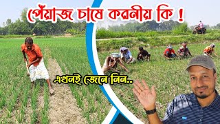 পেঁয়াজ চাষে করনীয় সম্পর্কে জেনে নিন | Onion Cultivation | Prodipto Krishi