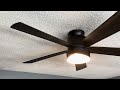 ceiling fan for uncle