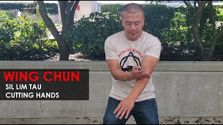 Solo Training drills : Sil Lim Tau Form Arm Cutting Move - Wing Chun, Kung Fu Report - Adam Chan