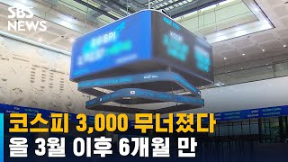 코스피 3,000 무너졌다…올 3월 이후 6개월 만 / SBS