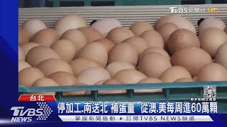 6點排隊! 雞蛋半小時賣完 蛋行歉:1顆都沒有｜TVBS新聞