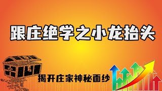 跟庄绝学之小龙抬头，让我们揭开庄家神秘的面纱，10分钟让你学会跟庄| 跟庄绝学系列课| 2022 | homilychart | 马股 #心态 #顶级手套#教学