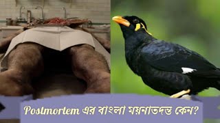 Postmortem (পোস্টমর্টেম) এর বাংলা নাম “ময়নাতদন্ত\