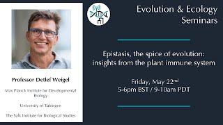 [Detlef Weigel] Epistasis, the spice of evolution: Insights from the plant immune system
