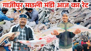 Ghazipur Fish Mandi Delhi Today Price 2024 ghazipur machli mandi wholesale ghazipur FishMandi Rate|