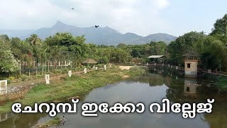 Cherumbu Eco Tourism Village - Karuvarakundu.