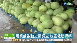 梅雨轟炸後 高麗菜泡爛.西瓜報銷 | 華視新聞 20200525