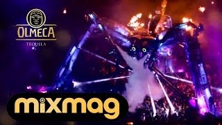 Arcadia: The Story Of The Spider - Switch On The Night by Olmeca Tequila \u0026 Mixmag