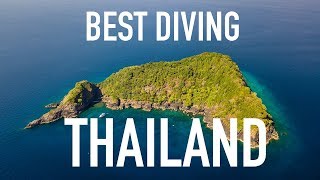 Best Diving in Thailand - Similan Islands