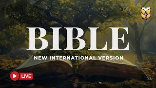 Bible Readings for Every Season 🔴 Streaming 24/7