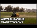 Australian farmers brace for China ban, eye new markets