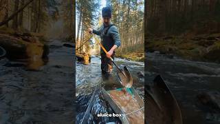 Finding Easy Gold in the River! 💰 #goldprospecting #goldpanning #goldrush