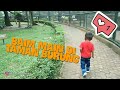 BAIM MAIN DI TAMAN BURUNG #TMII #TAMANBURUNG