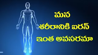 మన శరీరానికి ఐరన్ ఇంత అవసరమా || Is our body needing iron