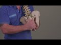 How to treat a Posterior Rotation of the Sacroiliac Joint