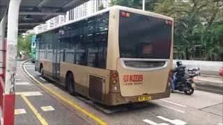 九巴 10 櫸樹街往王仲銘中學 (NV8110) [九龍城內街王]