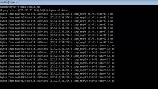 Linux - ping Command - w3resource