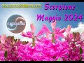 SCORPIONE ♏ MAGGIO: occhio alle ombre del passato⭐✨