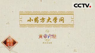 《百家讲坛》黄帝内经（第六部）EP21 小小药方蕴含着大学问 我们应该如何读懂一张中医药方？ 20210404  | CCTV百家讲坛官方频道