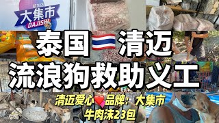 泰国🇹🇭清迈救助流浪狗义工活动，送食物和狗粮行动～清迈爱心品牌：清迈大集市。牛肉沫23包上百金捐助Chiang Mai stray dog ​​rescue volunteer