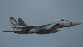 Special Painting F-15J Eagle Demo Flight Japan Komatsu Airshow 2018 303SQ 306SQ スペマ機動飛行　小松基地航空祭