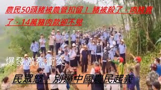 民怒：遲早農民起義。農管搶完雞鴨抓牛羊 當年扣押賤賣50頭豬消息又熱傳 | 搶劫財物