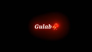 Gulab,Khwab,Dawa,Zeher,Jaam Kya Kya Hai Status 💫 | Dr. Rahat Sayari | Glow 🌟 Lyrics Sayari Status