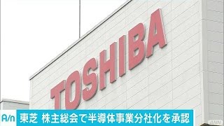 稼ぎ頭の分社化・売却を承認　東芝株主から厳しい声(17/03/30)