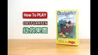 拯救果園Obstgarten[How to play #桌遊開箱022]