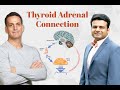 Adrenal Thyroid Connection Explained