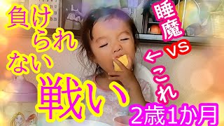 【寝落ちる】食べたいvs眠たい【2 歳1カ月】今回はしぶとく食欲がんばってます(笑)