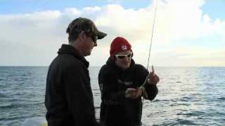 How Squid Jigs Work by Dave Butfield Hooked