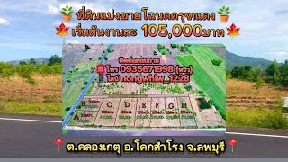 ที่ดินแบ่งขายลพบุรี