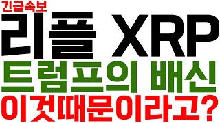 리플 XRP 트럼프의 배신 이것때문이라고? 트럼프밈코인 멜라니아 알트불장 비트코인 ETF 리플코인전망 리플코인목표가 리플코인전망실시간 리플실시간방송 솔라나 SOL