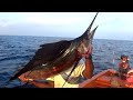 Monster Kingfish & Sailfish, Trevally fishing in Deep Sea