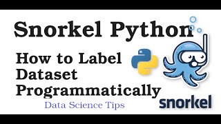 Snorkel Python Tutorial- How to Programmatically Label Datasets [Audio Fixed]