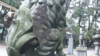 30秒の心象風景24024・石造の狛犬～高砂神社～