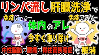 【体質改善で免疫力・睡眠力・体温アップ】身体に蓄積したゾンビ細胞をリンパ流し肝臓洗浄で取り除き勝手に中性脂肪も減らして腰痛・脊柱管狭窄症も解消ルーティン！