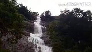 Cheeyapara waterfalls.. Kothamangalam to Adimaly  route