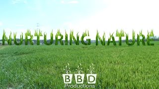 Nurturing Nature - Wildlife Documentary