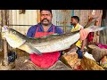 KASIMEDU 🔥 SPEED SELVAM | BIG SEA VIRAL FISH CUTTING VIDEO | IN KASIMEDU | FF CUTTING 🔪