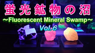 蛍光鉱物の沼 ～Fluorescent Minerals～ Vol.6【ミネラルマルシェ編】