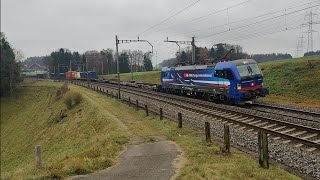 Bahnverkehr in Mühlau/Trafic Ferroviaire à Mühlau