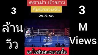 คลิปเต็ม บัวขาว ปะทะ จีนเจ้าปัญหาขอเปลี่ยนกติกากลางเวที