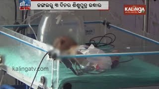 Mayurbhanj: 3 days old newborn found from jungle in Moroda Police Station | Kalinga TV