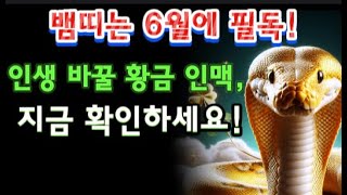 뱀띠는 6월에 필독! 인생 바꿀 황금 인맥, 지금 확인하세요! 뱀띠,뱀띠 운세