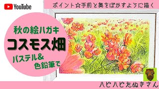 【色鉛筆で秋の絵ハガキ】タイムラプスで見るコスモス畑の描き方☆