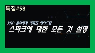 (특집#58) XRP 홀더에게 이뤄질 에어드랍, 스파크에 대한 모든 것 설명