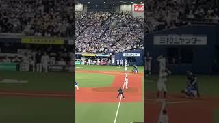 阪神佐藤輝明　今季初打点となるタイムリーヒット‼️ 20240403 阪神vs横浜