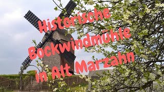 Historische Marzahner Bockwindmühle in Betrieb